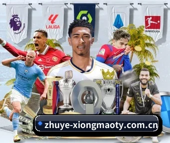 zhuye-xiongmaoty.com.cn APP